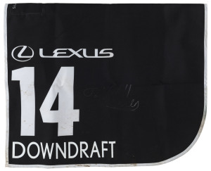 LEXUS MELBOURNE CUP 2019 Horse No 14 (Barrier 15), DOWNDRAFT, Jockey: John Allen, The unique number 14 saddlecloth, signed by John Allen accompanied by a letter of authenticity and limitation signed by Neil Wilson, CEO, Victoria Racing Club, Limited and the official Lexus Melbourne Cup Day Racebook.