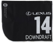LEXUS MELBOURNE CUP 2019 Horse No 14 (Barrier 15), DOWNDRAFT, Jockey: John Allen, The unique number 14 saddlecloth, signed by John Allen accompanied by a letter of authenticity and limitation signed by Neil Wilson, CEO, Victoria Racing Club, Limited and t - 2