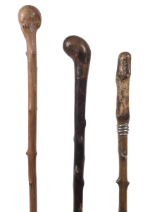 Three walking sticks, blackthorn shafts, 19th century, the largest 91cm high