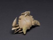 A Japanese netsuke carved ivory in the form of a crab, Meiji Period, 8.5cm across