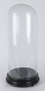 An antique glass dome on ebonized timber base, 19th century, ​65cm high