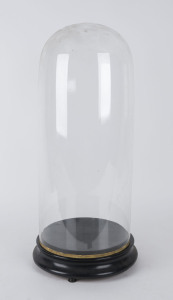 An antique glass dome on ebonized timber base, 19th century, 64.5cm high