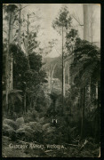 Australia: Postal Stationery - Postal Cards: 1911&nbsp;(BW:P21/1) KGV 1d Scenic Views of Victoria Setting 1 ("P" of "POST" 5mm from central dividing line), image showing "Gilderoy Ranges", postally used in 1912 to England, card tied by unframed SOUTHERN CROSS - 2