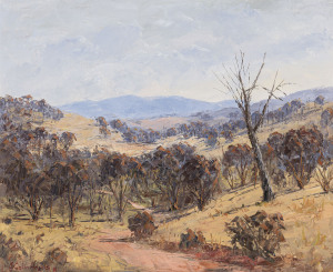 JOHN COLIN ANGUS (1907-2002), Everton Hills, oil on canvas board, signed lower left "J. Colin Angus, '89", title verso on artists label, ​50 x 60cm