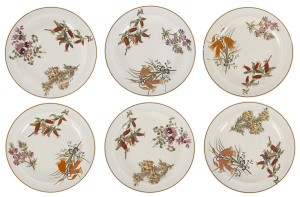 WEDGWOOD "Australian Flora" rare set of 6 porcelain dinner plates, circa 1880, stamped "Wedgwood, Australian Flora", 24.5cm diameter
