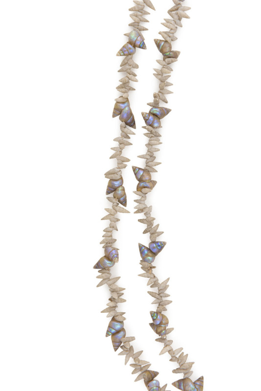 A mariner shell and cat's tooth shell necklace, early 20th century, ​176cm long