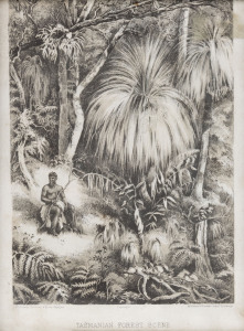 McFARLANE & ERSKINE (19th century), Tasmanian Forest Scene, (circa 1879), lithograph with title in the lower margin, later 1920's frame obscures the upper margin, ​image size 23.5 x 16cm