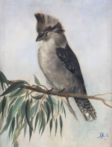J.NEILL (Australian school), kookaburra, oil on canvas, signed lower left "J. Neill, 1911", 45 x 35cm