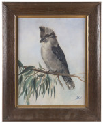 J.NEILL (Australian school), kookaburra, oil on canvas, signed lower left "J. Neill, 1911", 45 x 35cm - 2