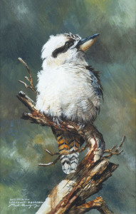 PAUL MARGOCSY (1945- ), Australian Laughing kookaburra, gouache on paper, signed and titled lower left "Paul Margocsy", 28 x 18cm