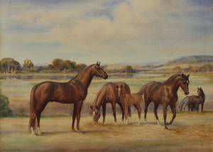 TREVOR H. CLARE (Australia, working 1950s), horses in landscape, watercolour, signed lower left "T.H. Clare", 55 x 75cm