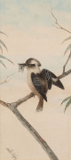 NEVILLE WILLIAM CAYLEY (1886-1950), Kookaburra, watercolour, signed lower left "Neville Cayley", 33 x 15cm