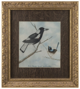 J. FINLAY (Australian School), I.) Black Backed Magpie and Blue Wren, II.) Masked Wood Swallow, watercolour, signed and titled in the lower margins "J.Finlay, '16", ​24 x 21cm