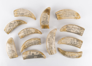 Collection of 12 reproduction scrimshaw whale's teeth with sterling silver bases, 20th century, stamped "STG. SIL", the largest 16cm high