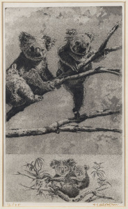 FREDERICK HALPERN (1909 - ), Koalas, limited edition engraving 16/25, signed lower right "Halpern", 32 x 19cm