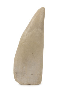 A sperm whale's tooth, 19th century, 17cm high