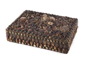 A jewellery box encrusted with shells, starfish and seahorses, Queensland origin, early 20th century 7cm high, 28cm wide, 20.5cm deep
