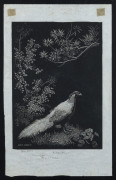 LIONEL LINDSAY (1874-1961), three engravings, each signed and titled in the lower margins, the largest 27 x 17cm, ​(3 items) - 3