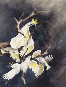 NINON PHILLIPS (1921-2015), Cockatoos, watercolour, signed lower left "Ninon Phillips, 1982", ​54 x 70cm