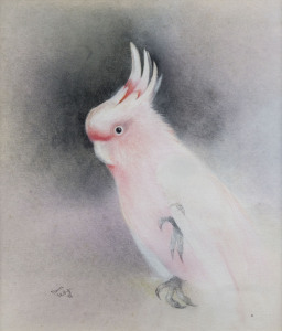 NINON PHILLIPS (1921-2015), Major Mitchell Cockatoo, watercolour, signed lower left "Ninon Phillips, 1988", ​34 x 29cm