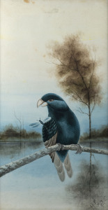 HERBERT HEPBURN CALVERT (1870-1923), parrot and dragonfly, watercolour, signed "H.H. Calvert, 1920", ​59.5 x 31cm