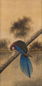 HERBERT HEPBURN CALVERT (1870-1923), Eastern Rosella, watercolour, signed "H.H. Calvert, 1920", ​58 x 29cm