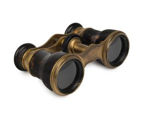 A pair of French opera glass, tortoiseshell and gilt metal, late 19th century, 10cm wide