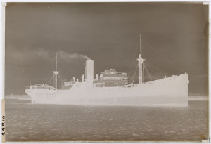 GLASS PLATE NEGATIVES - SHIPS: c.1890s-1914 P&O Branch Line ships comprising Barrabool (3), Ballarat (3), Balranald, Benalla, Bendigo (2), Borda, Palma, Poona & Socatra. (14)