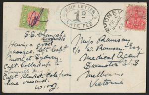 NEW SOUTH WALES - Postal History: 1907 (Mar.4) PPC (Hinchinbrook Passage, Qld) to Melbourne endorsed "SS Changsha/Townsville", scarce double-oval 'SHIP LETTER/1D LATE FEE' applied on arrival at Sydney (NSW 1d Shield does not belong), Victoria 1d Due adde