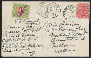 NEW SOUTH WALES - Postal History: 1907 (Mar.4) PPC (Hinchinbrook Passage, Qld) to Melbourne endorsed "SS Changsha/Townsville", scarce double-oval 'SHIP LETTER/1D LATE FEE' applied on arrival at Sydney (NSW 1d Shield does not belong), Victoria 1d Due added on arrival at Melbourne cancelled with purple crayon, corner crease at lower right.