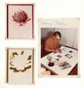 AUSTRALIA: Decimal Issues: 1968-71 (SG.425) 30c Waratah photographs of colour separations conducted by artist Harry Fallu, along with a signed photograph of Fallu at work on the separations, and a signed FDC with 30c (+ 20c & 25c); also 1965 2/3d ICY FDC, - 2