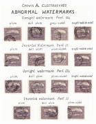 TASMANIA: 1899-1912 Pictorials incl. range of varieties on album pages (ex Keith Lancaster) including 1909 Crown/A Electrotype 1d Plates 3 to 6 "major" varieties with "Retouch to sky over left side of mountain" [3/5] BW. T14g (5 examples), "Large white fl - 3