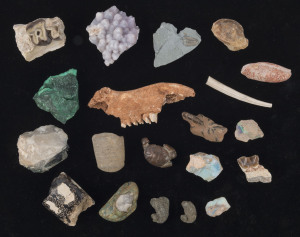 Twenty assorted mineral specimens, fossils and opals
