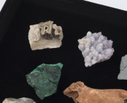 Twenty assorted mineral specimens, fossils and opals - 2