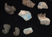 Twenty assorted mineral specimens, fossils and opals - 4