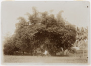 GERMAN NEW-GUINEA: circa 1912 group of 7 original images, several annotated in German on reverse; also one from Vanuatu. One titled "Herbertshohe, d. 19.II.1912", another "Neu Mecklenburg" and another "Polizeisoldaten transportieren Banholz, Herbertshohe - 4