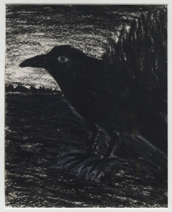 PETER BOOTH (1940 - ), (attributed), untitled (crow), charcoal and pastel, 29 x 23cm