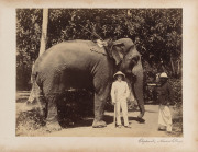 VIEWS OF CEYLON Old-time album with embossed date and initials to front cover "A.M.B. 20. 3. 93" containing fourteen fine albumen prints, each 20 x 26cm and laid down - 12