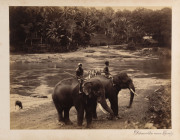 VIEWS OF CEYLON Old-time album with embossed date and initials to front cover "A.M.B. 20. 3. 93" containing fourteen fine albumen prints, each 20 x 26cm and laid down - 14