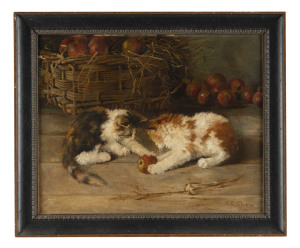 J.S. PERKIN (French, 19th century), kittens and apples, oil on canvas, signed lower right "J.S. Perkin, 1898", ​40 x 50cm