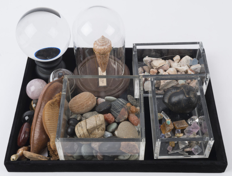 Collection of mineral specimens, shells and fossils