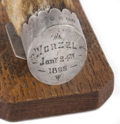 A desk tidy paper holder, taxidermy fox foot, sterling silver and oak, engraved "Worzel, Jan 24th, 1896", 12cm long - 2