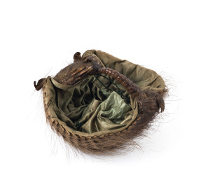 An armadillo ladies carry purse with green silk lining, 19th century, 15cm wide