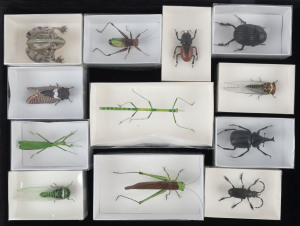 Seventeen assorted insect ornaments, late 20th century, ​the stick insect 12cm long