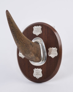 An antique horn mounted in silver with silver plaques on timber board, late 19th century, ​the horn 23cm long