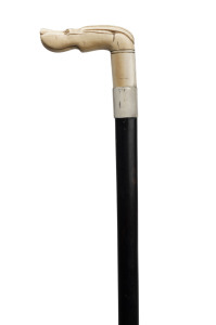 A walking stick, carved ivory dog's head handle with silver collar, ebony shaft and bone ferrule, 19th century, 93cm high