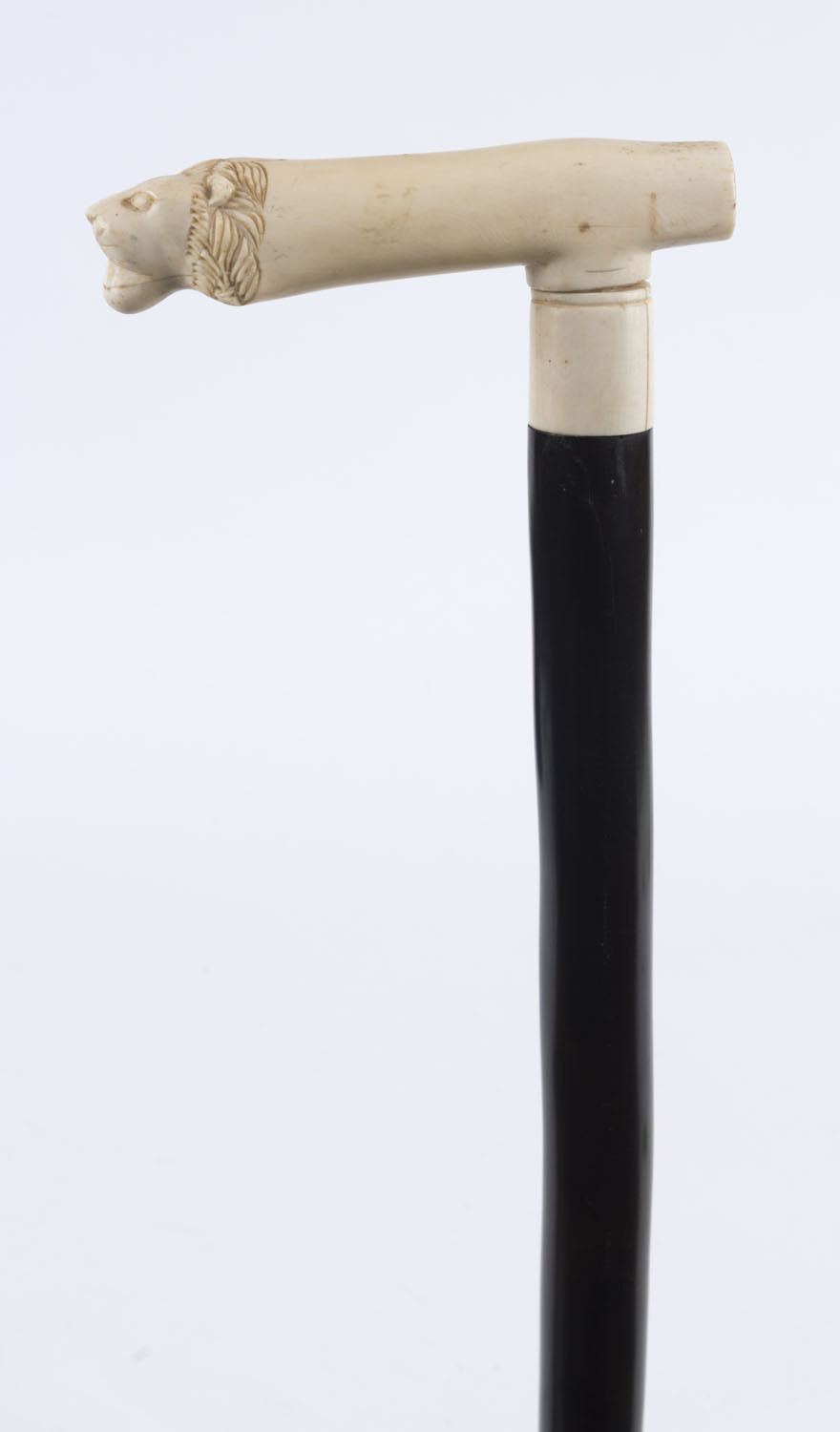 A walking stick with carved ivory lion's head handle, solid ebony shaft ...