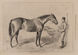 ENGLISH HORSE RACING: A collection of 1858 - 1886 mainly full-page etchings, engravings, lithographs and other illustrations of events, horses and riders, mainly from the English "The Illustrated Sporting and Dramatic News", "The Illustrated London News", and "The Graphic". Mainly the work of John Sturgess. (19 different).