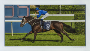 2018 WINX WINNING THE QUEEN ELIZABETH STAKES: Action colour image (60 x 120cm) by esteemed photographer Bruce Postle of Winx, with Hugh Bowman aboard, winning the Queen Elizabeth Stakes at Randwick by almost 4 lengths, becoming the super mare's 25th successive victory; framed and glazed, overall 82.5 x141cm.