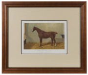 "ARTIST" by "HIGHTHORN": print of an 19th century chestnut gelding, owned by "John Hadland, Esq" (Beverley, England), attractively framed and glazed, overall 38 x44.5cm.